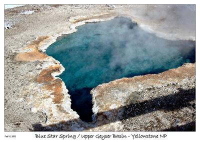 Blue Star Spring