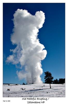 Old Faithful Erupting