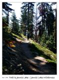 Dave on the trail