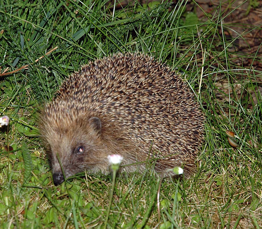 DSC_1378_web.jpg