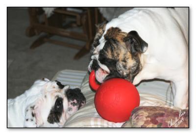 1. Z&Z Keep Away!