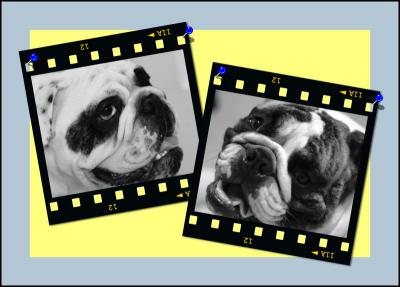 2. Z&Z Pin-up Boyz!