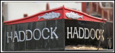 Haddock