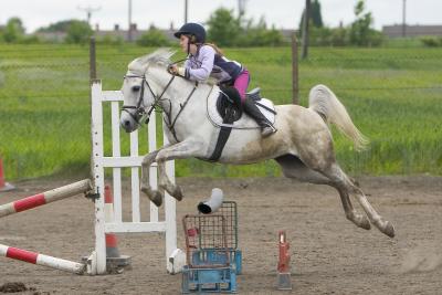 u46/calis/medium/29775794.70200Pony35.jpg