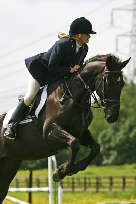 u46/calis/medium/29860373.ArdsleyShowJune51.jpg