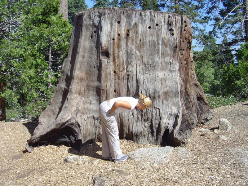 Sequoia National Park