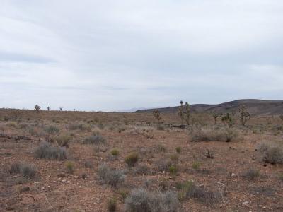 u46/candreae/medium/33926661.lookingatthedevastationofthelandcausedbyovergrazin.jpg