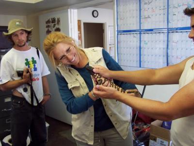 u46/candreae/medium/33926676.takingbloodfromGilaMonster5.jpg