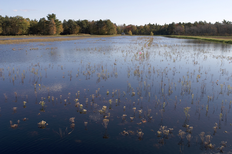slt_beatonbogs_154.jpg