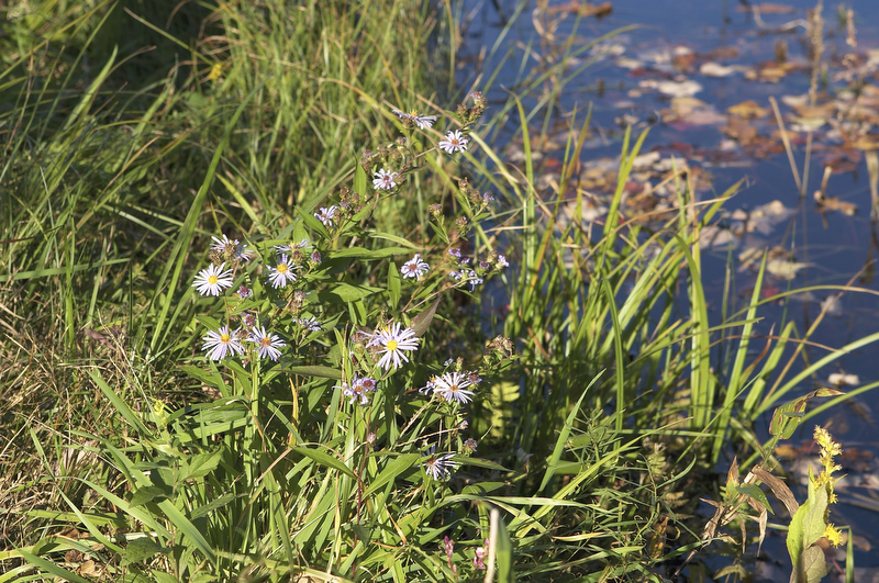 slt_beatonbogs_177.jpg