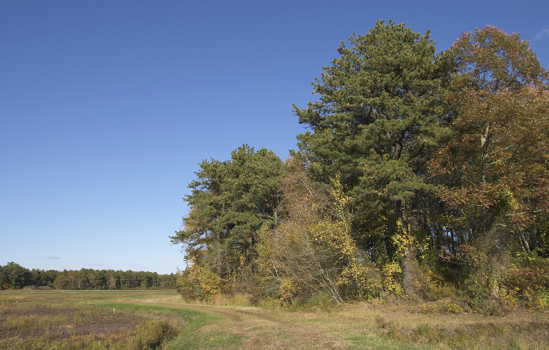 slt_beatonbogs_205.jpg