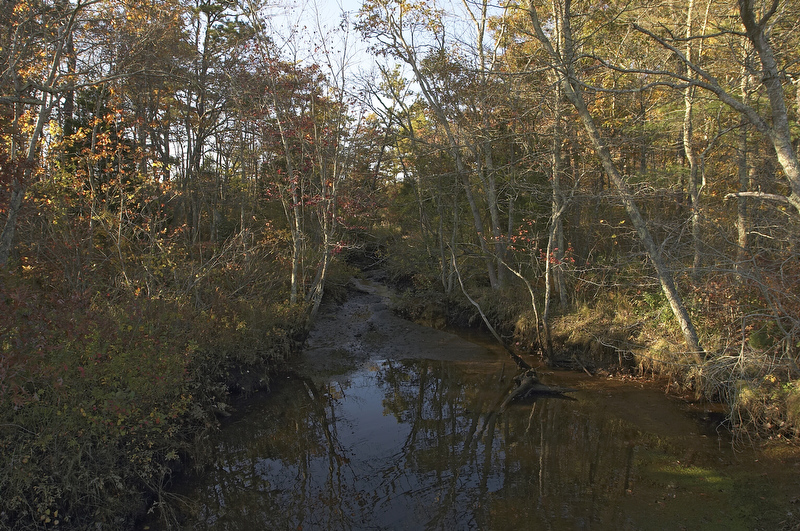 slt_beatonbogs_235.jpg