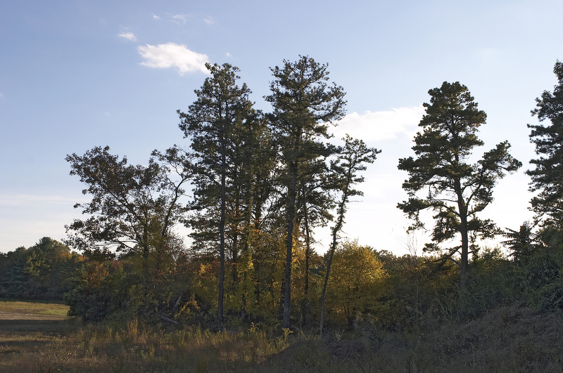 slt_beatonbogs_248.jpg