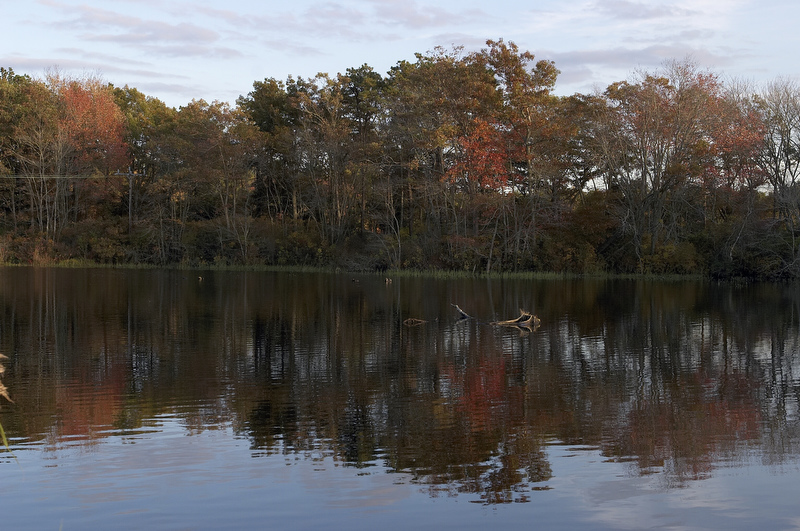 slt_beatonbogs_304.jpg