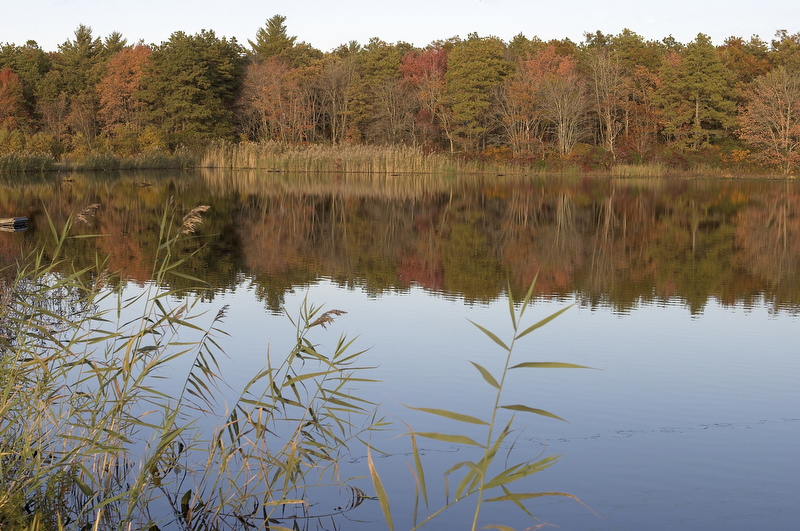 slt_beatonbogs_314.jpg