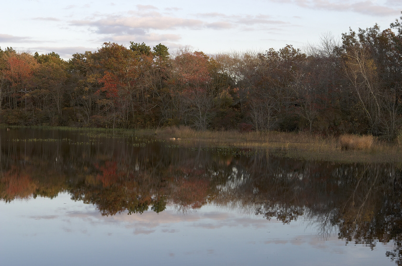 slt_beatonbogs_317.jpg