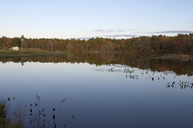 slt_beatonbogs_318.jpg