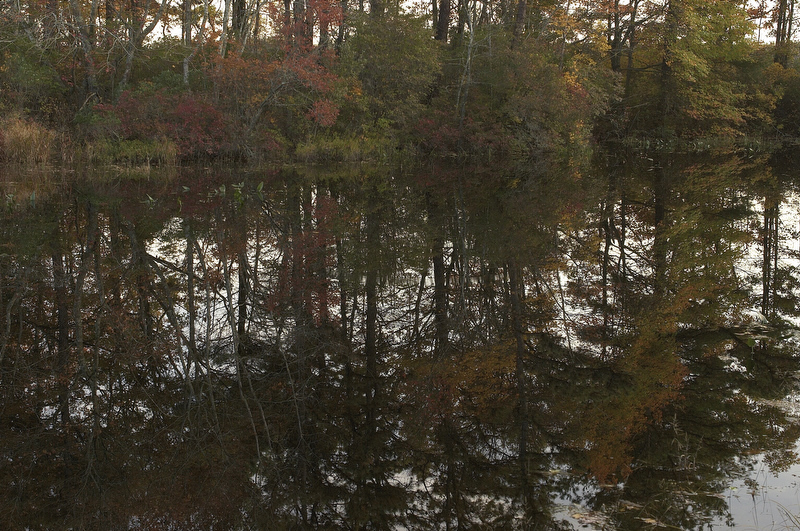 slt_beatonbogs_320.jpg
