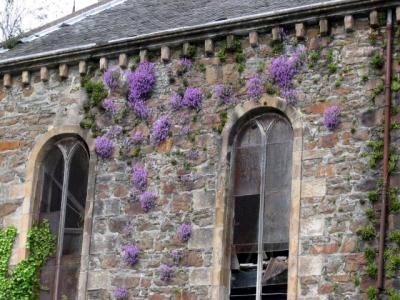 Disused Church in Rothsay