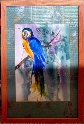blue parrot watercolor.jpg