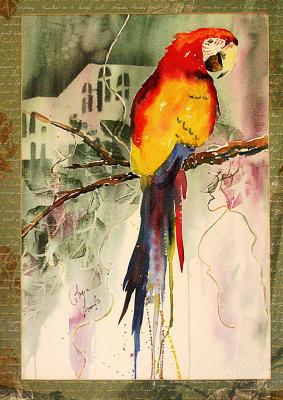 red parrot watercolor.jpg