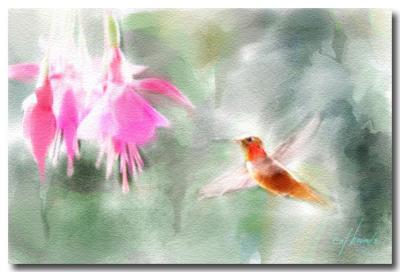 hummingbird-.jpg