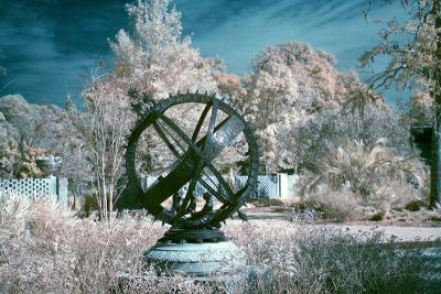 20 D Color Infrared 1