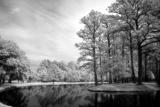 20 D B+W Infrared 2