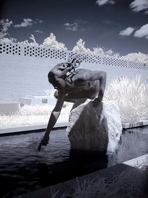 Brookgreen Gardens infrared 7