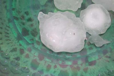 DSCN6913.jpg