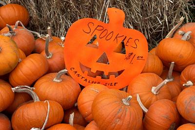 Spookies