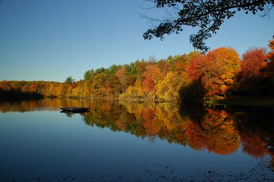 DSC_6763.JPG