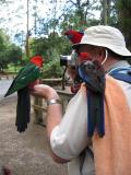 Taking the photo - Photo taken by Robert Halley-Frame