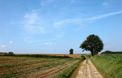 veldweggetje.jpg