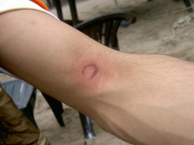 PICT0029.JPG