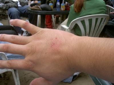 PICT0032.JPG