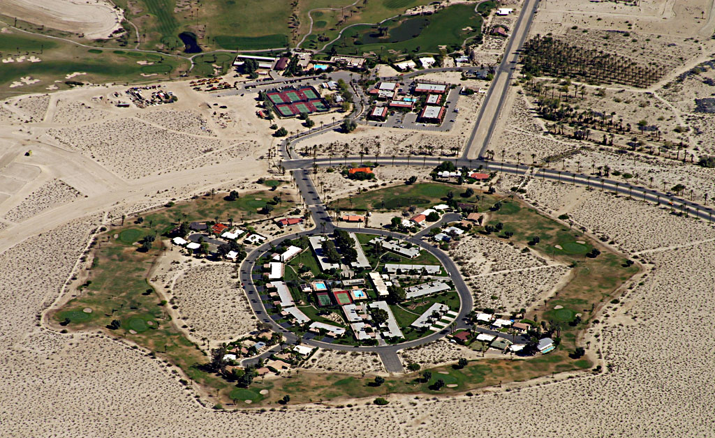 The desert community in detail