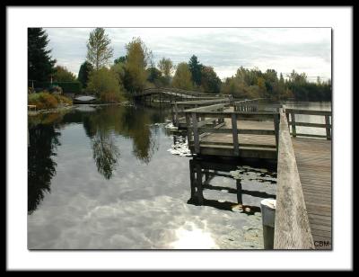 Wooden walkway at Mill Lake