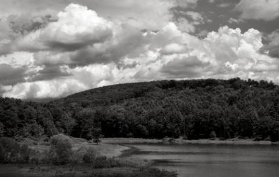 2 June - b/w