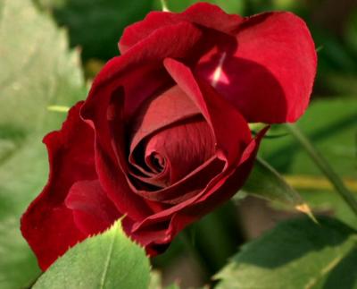 7 June