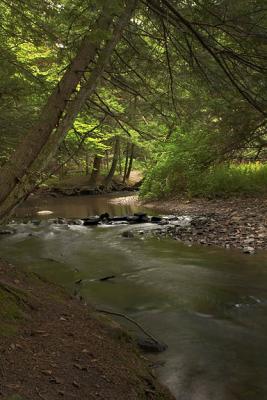 Fall Creek