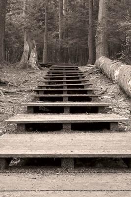 stairway to hemlocks