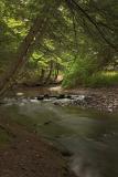 Fall Creek