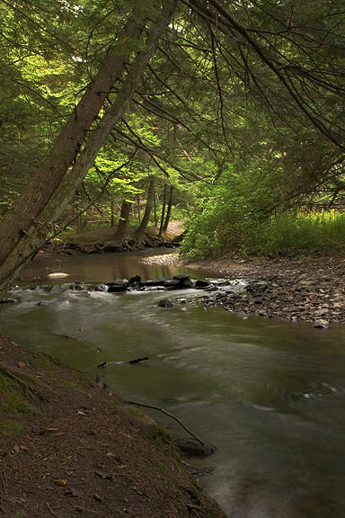 Fall Creek