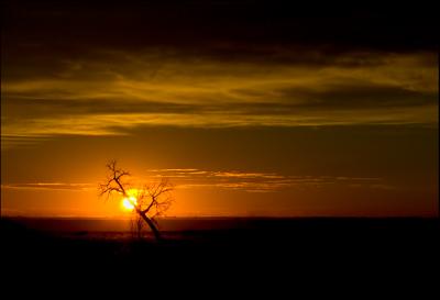 Another Sunrise on the Colorado Plains...