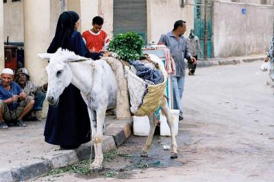 Egipt 2004 009.jpg