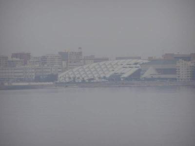 Alex Library behind the fog.JPG