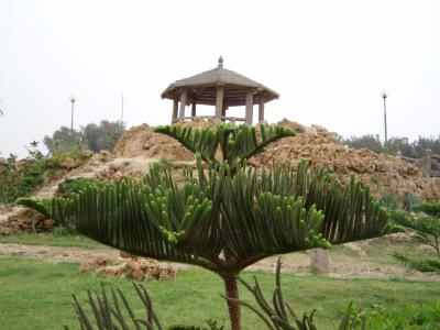 Montaza Garden .JPG