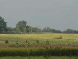 September 15, 2004<br><font size=2>Fields of Gold</font><br>Day 132