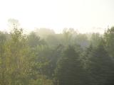 DSC01383.JPG